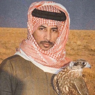 Telegram profile photo for - تـهآويل⊀