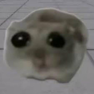 Telegram profile photo for Sad Hamster (PORTAL)