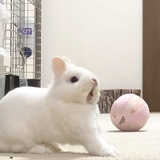 Telegram profile photo for сопли лунианы