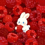 Telegram profile photo for x5x5x5