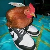 Telegram profile photo for http://t.me/xa_wsuk