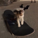 Telegram profile photo for Просто скейт