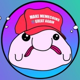 Telegram profile photo for CTO