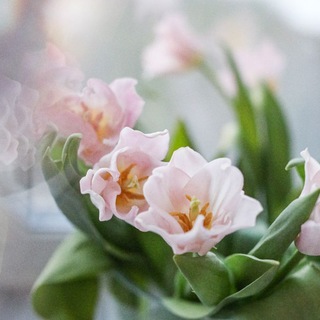 Telegram profile photo for Витаминка для жизни