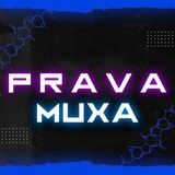 Telegram profile photo for Prava Muxa