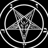 Telegram profile photo for 自由贸易区FreeTradeZone