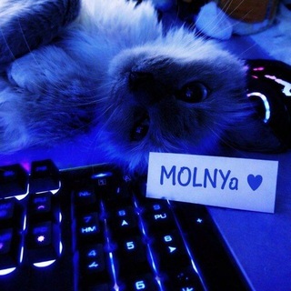 Telegram profile photo for MOLNYa | FFT