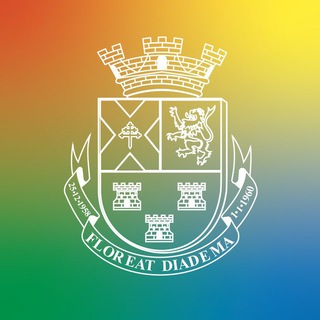 Telegram profile photo for Prefeitura de Diadema