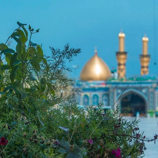 Telegram profile photo for لہٰ كہٰآفٰليٰ العباس {؏}✨💚