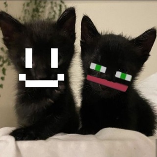 Telegram profile photo for Катчер размышляет