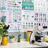 Telegram profile photo for Lab Diary