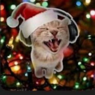 Telegram profile photo for раздачи от котека