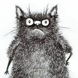 Telegram profile photo for Котяра.News