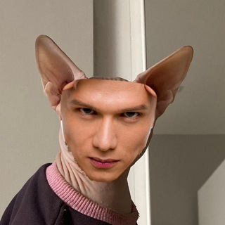 Telegram profile photo for YouNear