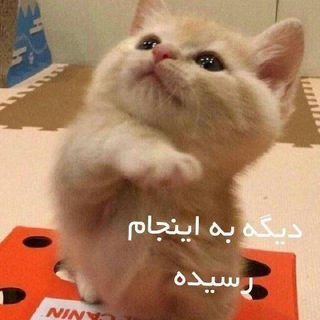 Telegram profile photo for دانشگاه اصفهان پردیس شهرضا😂
