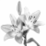 Telegram profile photo for 𝓚𝓲𝓽𝓽𝓮𝓷 𝓫𝓲𝓽𝓮𝓼