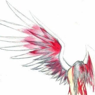 Telegram profile photo for warf