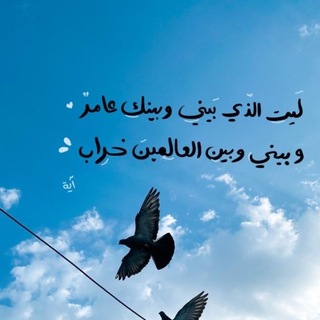 Telegram profile photo for وَلَلدَّارُ الْآخِرَةُ خَيْرٌ لِلَّذِينَ يَتَّقُونَ | 🫀🧠