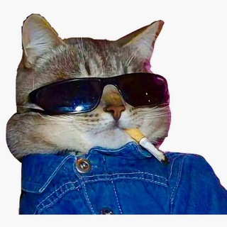 Telegram group profile photo for Мур чат 18+