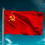 Telegram profile photo for ZOV CCCP