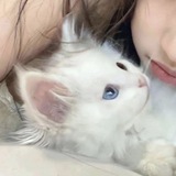 Telegram profile photo for 🔖🧴𓇻 만족한, sugarplum—dreams!! 🪩🧸 a collection of cuteness >____^3