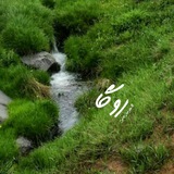 Telegram profile photo for #روگا
