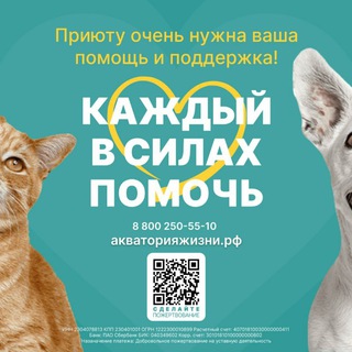 Telegram profile photo for ЗООГЕЛЕНДЖИК • ПРИЮТ ФОРУМ • ZOOGELENDZHIK •