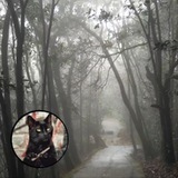 Telegram profile photo for SomeWhere NoOne (ex. Langkawi & me)