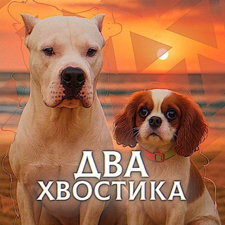 Telegram profile photo for два хвоста🪆