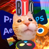 Telegram profile photo for BIO Biscuits'a