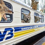 Telegram profile photo for Шакалячий Експрес 🇺🇦 18✙