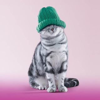 Telegram profile photo for Наташ, мы все уронили!