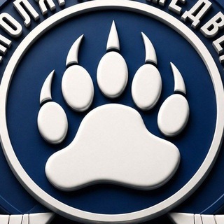 Telegram profile photo for Фанаты ХК Норильск "ЗМ"