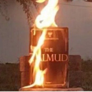 Telegram profile photo for Talmud Studies
