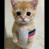 Telegram profile photo for Пикчи которые мы заслужили