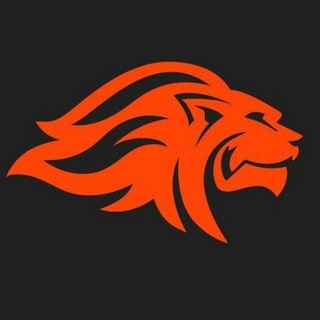 Telegram profile photo for Freezone Нижний Новгород| Аэротруба.Сёрфинг. Ресторан.
