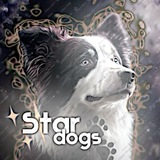 Telegram profile photo for 🐶звёздные псы✨