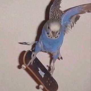 Telegram profile photo for Лучевая