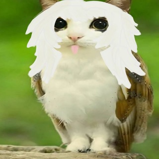 Telegram group profile photo for переезд mysika