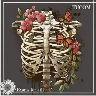 Telegram profile photo for Exams for 4th