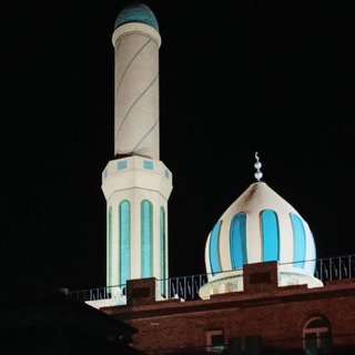 Telegram profile photo for مامۆستا محمد طاهر