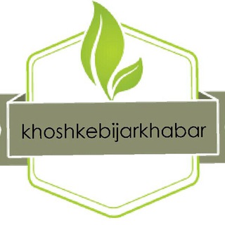 Telegram profile photo for خشکبیجار📑خبر