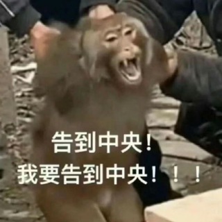 Telegram profile photo for 缅北吃瓜聊天群