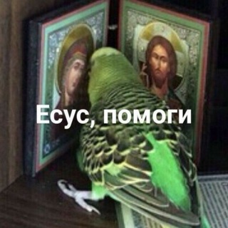Telegram profile photo for Вимарк прокрастинирует ✴️
