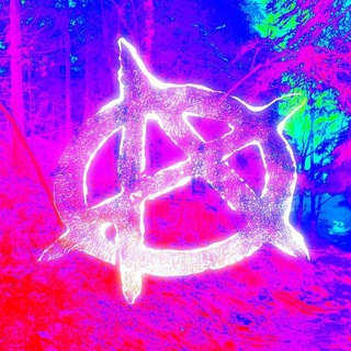Telegram profile photo for PunkShit👾