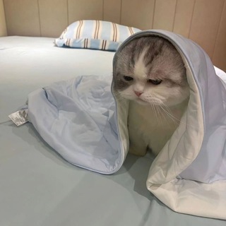 Telegram profile photo for BgmiPopularityMart