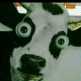 Telegram profile photo for apa aja