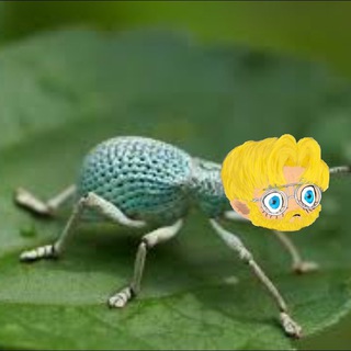 Telegram profile photo for Max The Bug Files