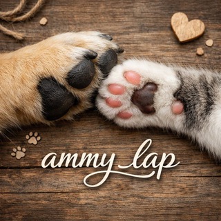 Telegram profile photo for ammy.lap