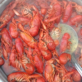 Telegram profile photo for Живые Раки Мариуполь Ялта 🦞